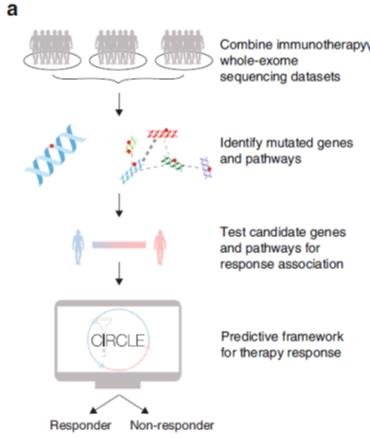 1663642042597_3417ce3a7354c2690c4fd0079534d25.jpg 1663642042597_3417ce3a7354c2690c4fd0079534d25.jpg